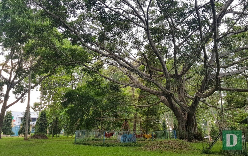 Đà Lạt miền Đông bị lãng quên - 21