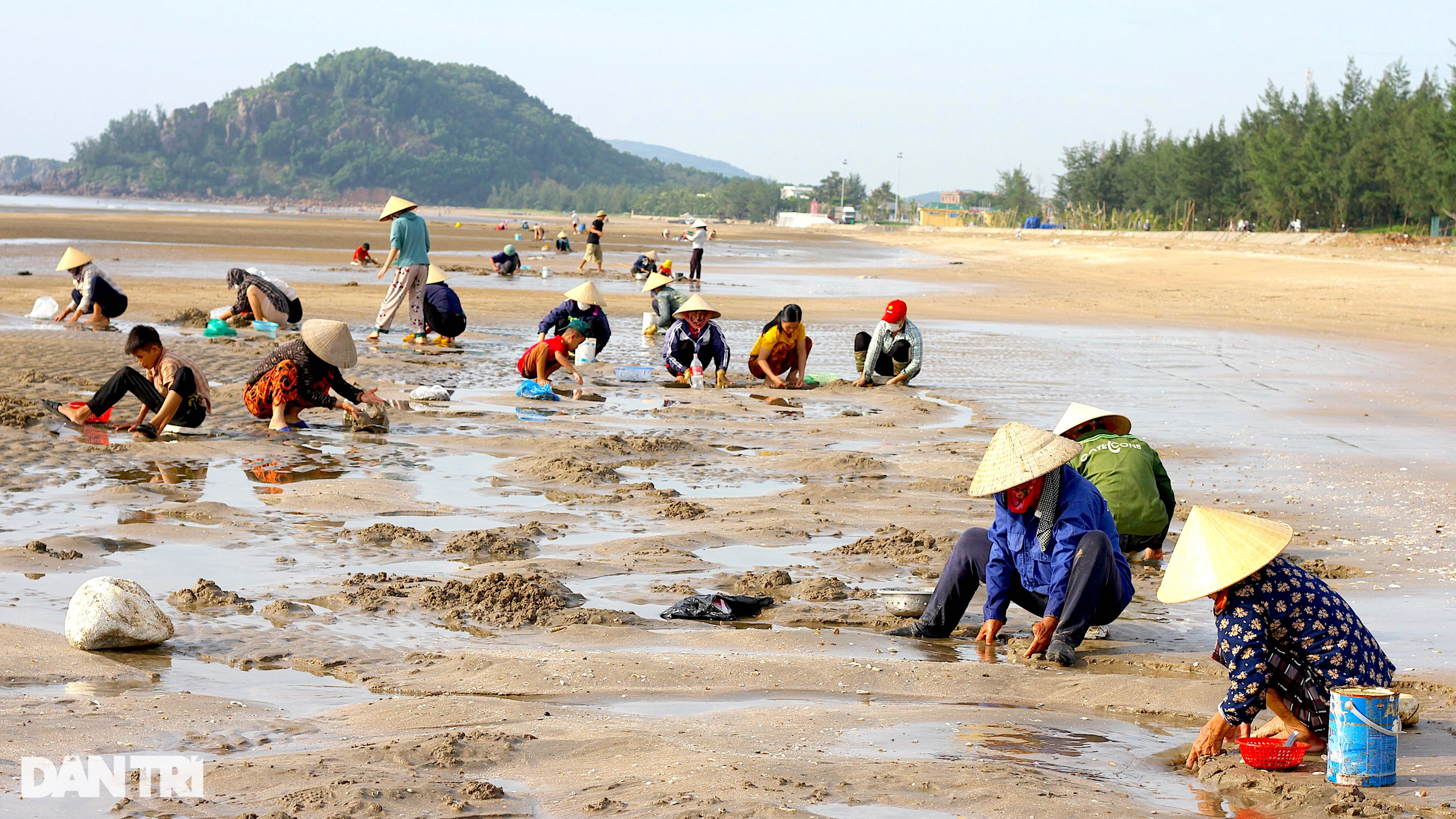 Hàng trăm người dân làm nghề tranh thủ trên bãi biển - 1 Hàng trăm người dân làm nghề tranh thủ trên bãi biển - 1