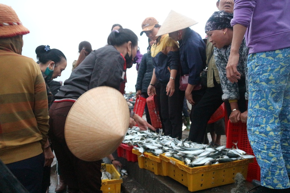 Vươn khơi ngày Rằm tháng Giêng, ngư dân trúng lộc biển - 5 Vươn khơi ngày Rằm tháng Giêng, ngư dân trúng lộc biển - 5