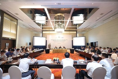 Xuất khẩu hàng tỷ USD: Ngành điều đối mặt với nguy cơ thiếu nguyên liệu