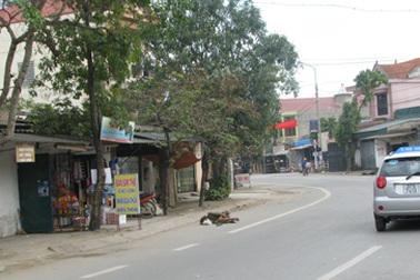 Hoảng hồn vì người hành khất nằm bất động trên phố