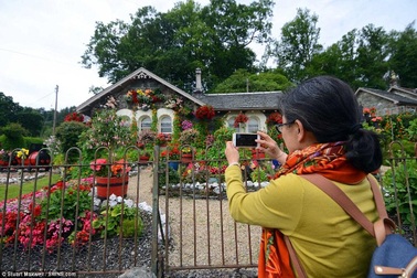 Cụ ông 80 tuổi tạo vườn đẹp như tranh, khách đến xem tắc cả đường