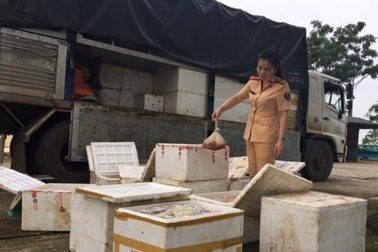 2,5 tạ gà không giấy tờ đem ra Hà Nội tiêu thụ