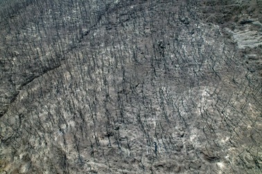 Châu Âu ghi nhận vụ cháy rừng lớn chưa từng có, 20 người chết