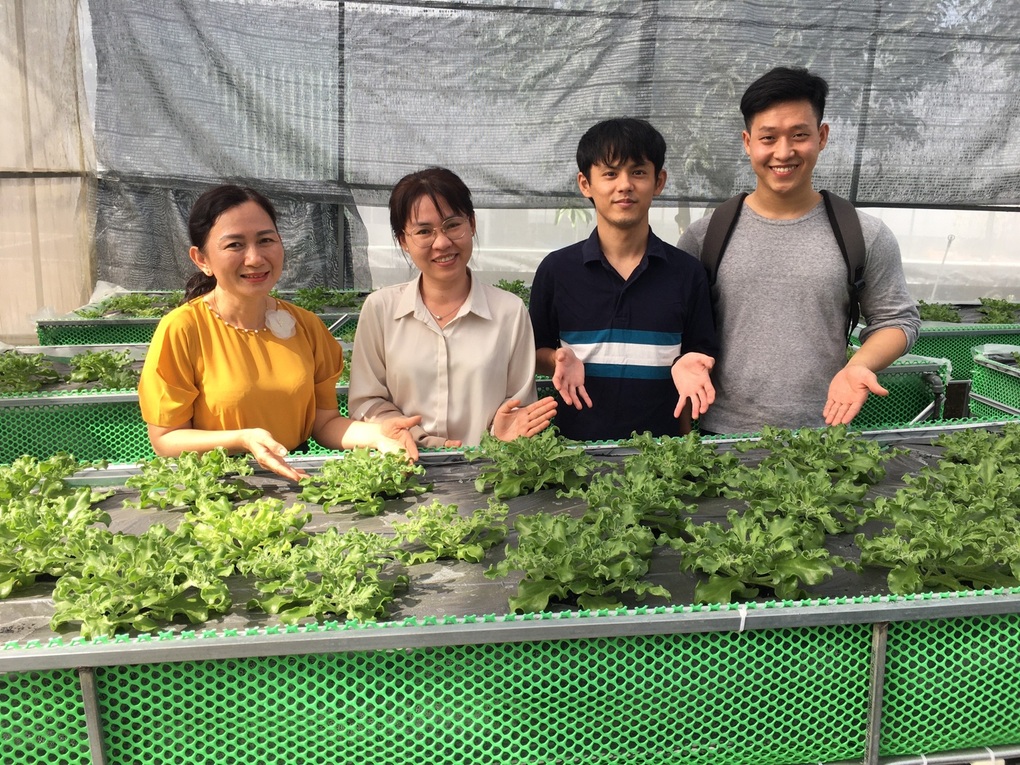 Trường đại học Việt Nam trồng loại rau giá 7 triệu đồng/kg - 1 Trường đại học Việt Nam trồng loại rau giá 7 triệu đồng/kg - 1