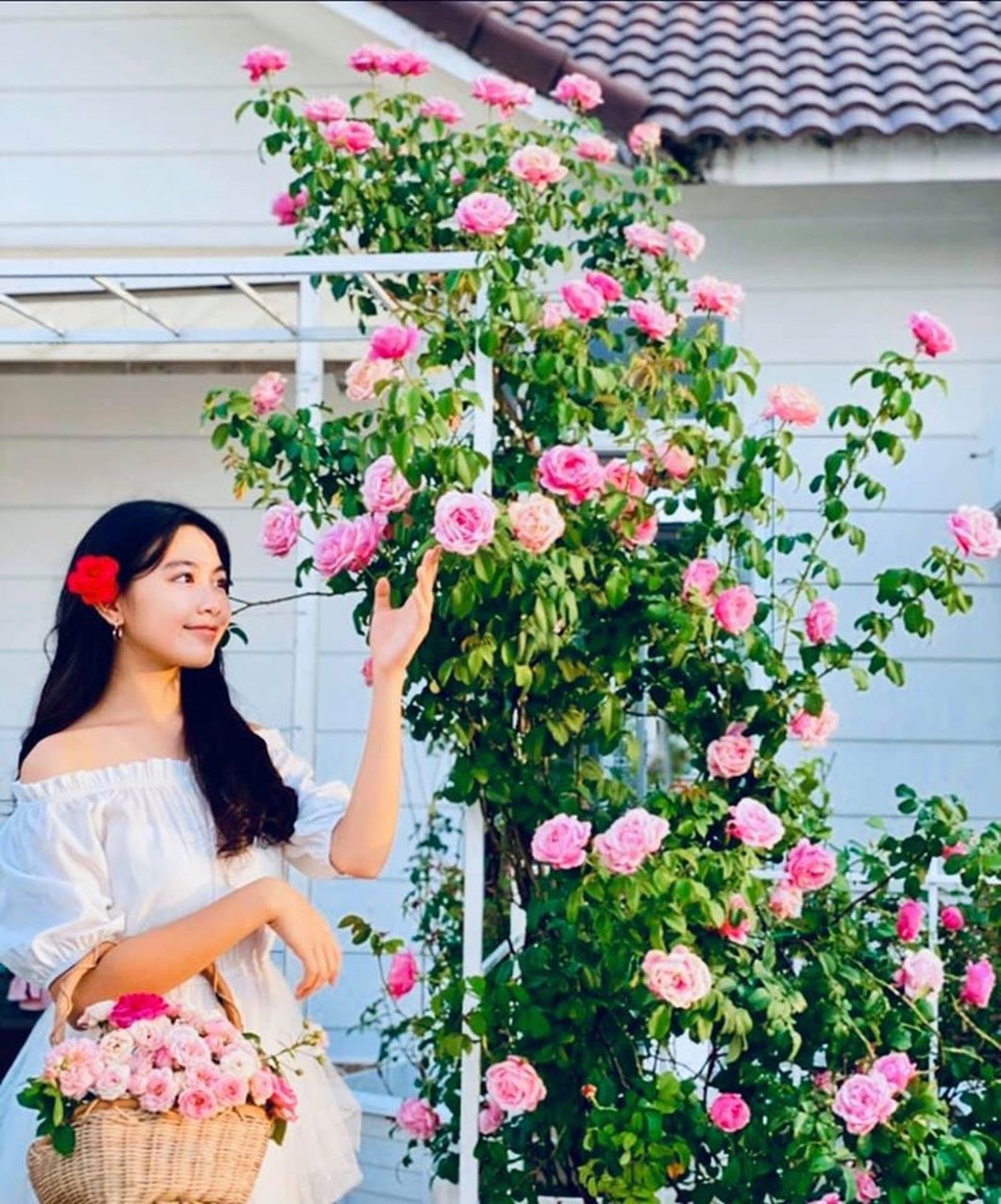 Nghỉ tránh dịch, Quyền Linh làm nông cùng vợ con trong biệt thự 500m2 - 5 Nghỉ tránh dịch, Quyền Linh làm nông cùng vợ con trong biệt thự 500m2 - 5