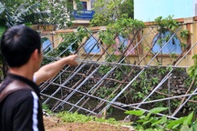 Vụ trường học "chống nạng", nhà dân nghiêng nứt: Sập đã có bảo hiểm lo (?!)