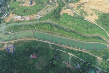 Nhà máy nước Sông Đà xin lỗi, miễn tiền nước 1 tháng cho người dùng