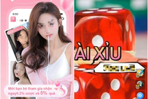 Nhóm người Trung Quốc cầm đầu đường dây đánh bạc 100 tỷ đồng