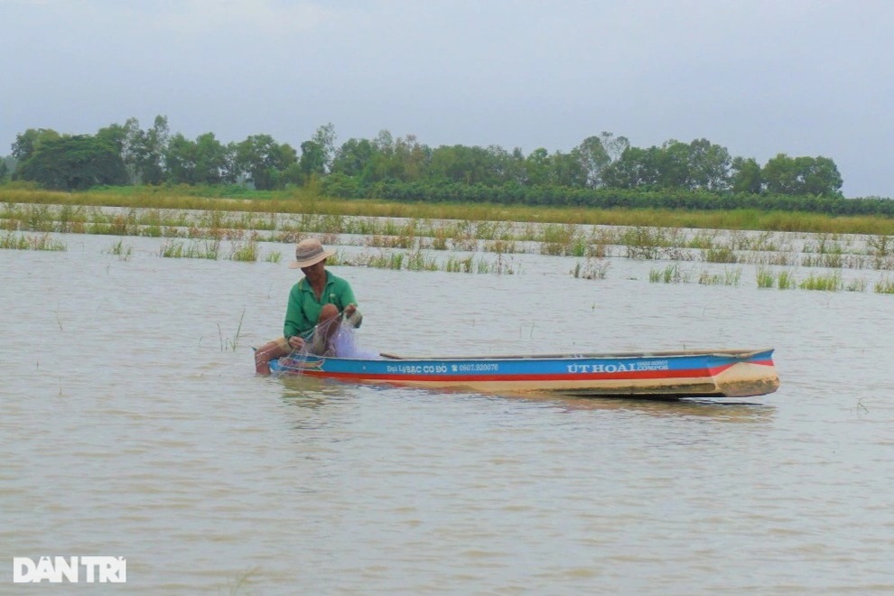 Kỹ năng đáng nể tăm tia đồng nhiều cá của dân nhà nghề miền Tây - 2 Kỹ năng đáng nể tăm tia đồng nhiều cá của dân nhà nghề miền Tây - 2