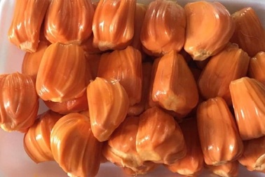 Mít có màu lạ đắt gấp 10 lần mít thường vẫn khiến chị em mê mẩn