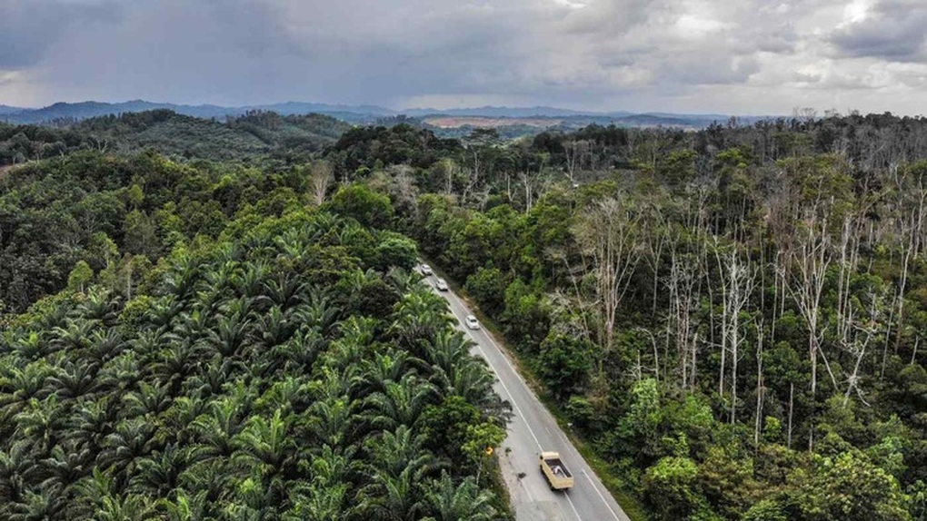 Indonesia chi thêm 1 tỷ USD đẩy nhanh kiến thiết thủ đô mới - 1 Indonesia chi thêm 1 tỷ USD đẩy nhanh kiến thiết thủ đô mới - 1