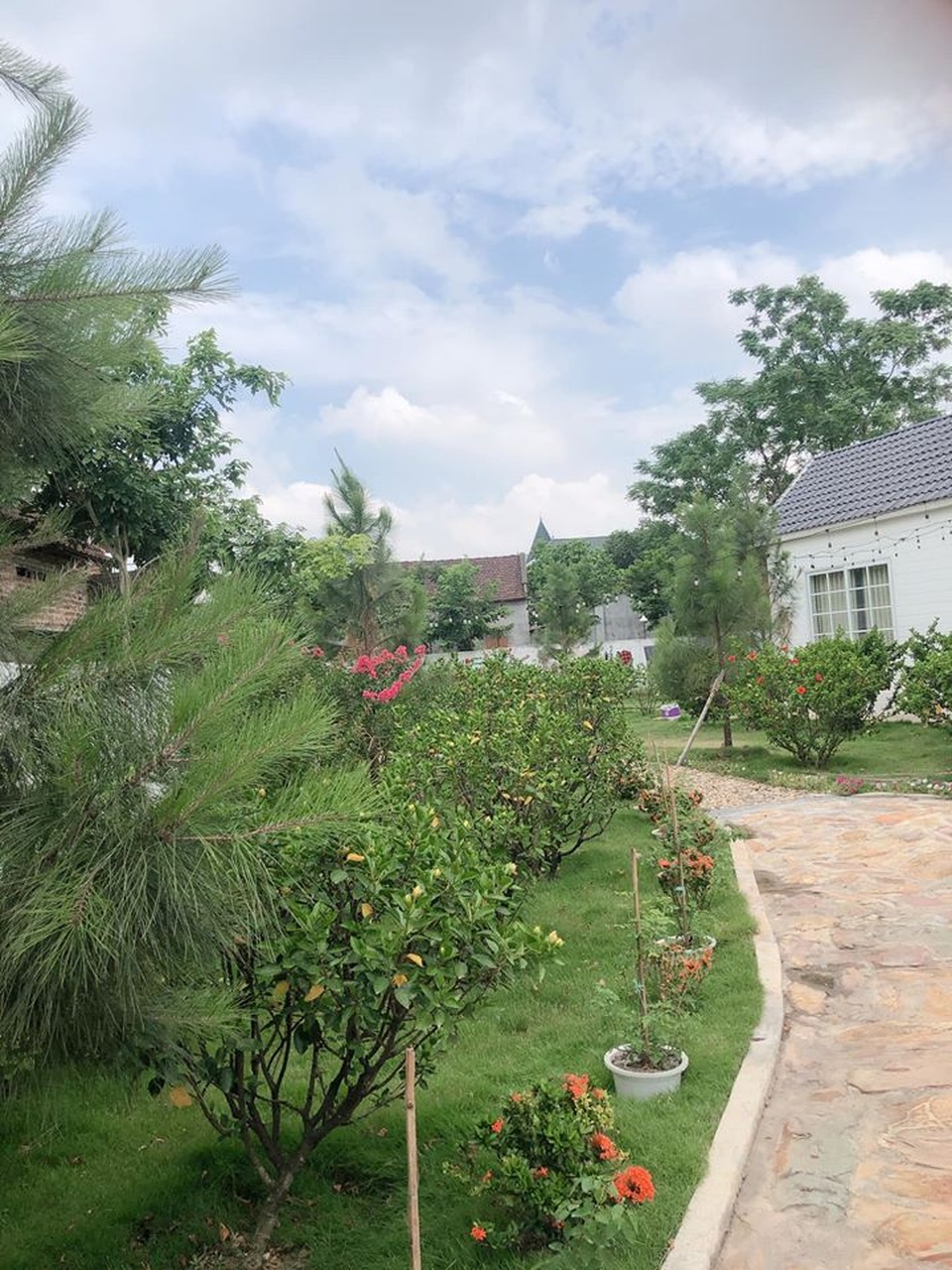 Mê mẩn khu vườn ngập tràn hoa lá của Khánh Thi, Duy Nam, Mai Ngọc - 6 Mê mẩn khu vườn ngập tràn hoa lá của Khánh Thi, Duy Nam, Mai Ngọc - 6
