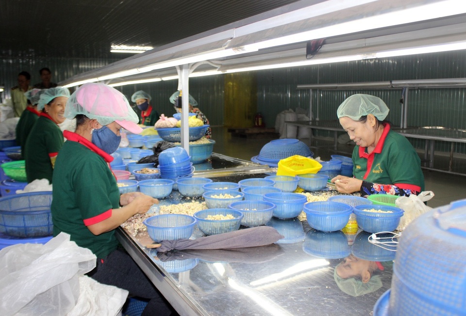 Gần 40.000 lao động nông thôn được học nghề miễn phí, có thu nhập ổn định - 2 Gần 40.000 lao động nông thôn được học nghề miễn phí, có thu nhập ổn định - 2