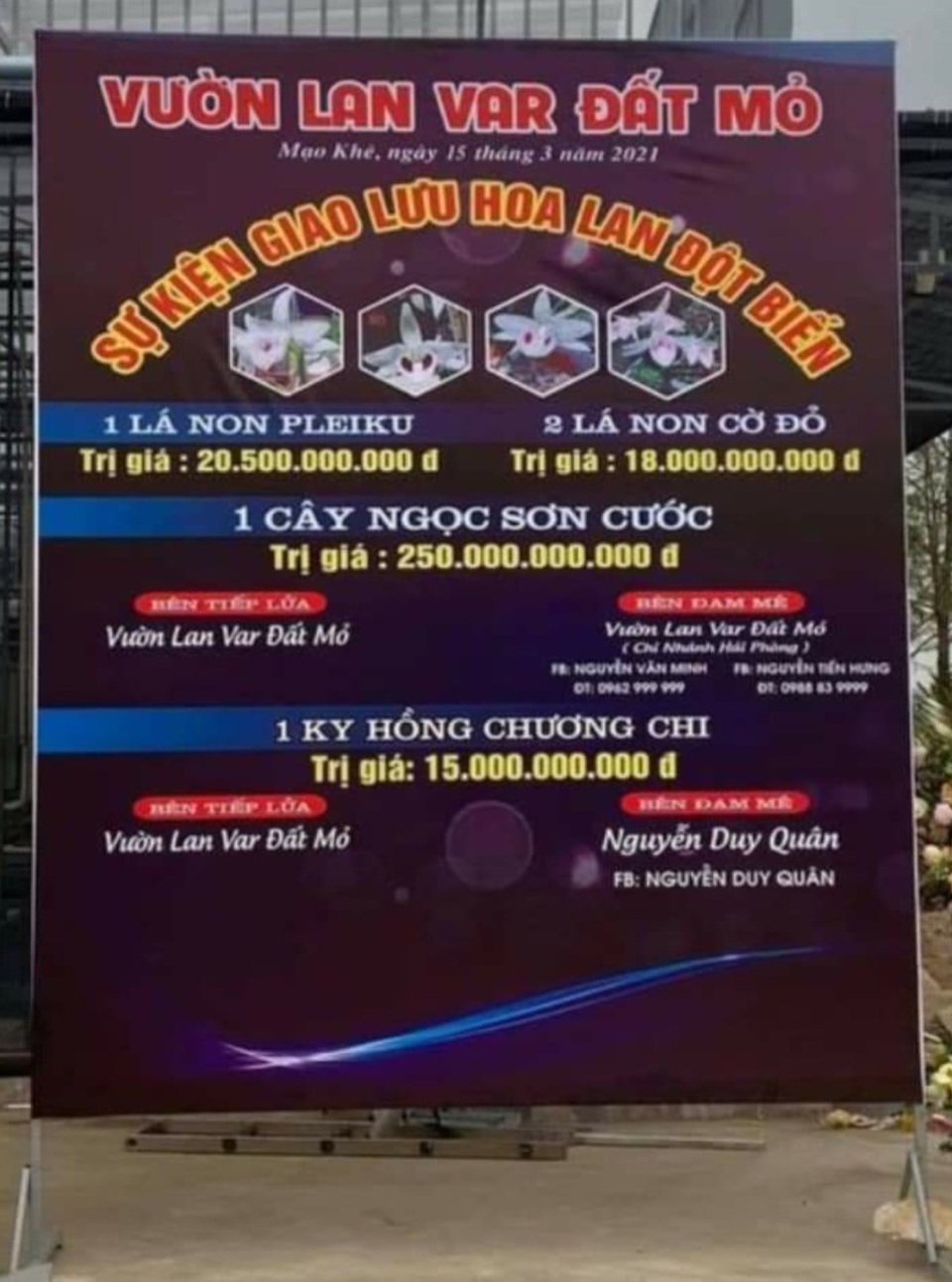 Vụ giao dịch lan gần 300 tỷ đồng: Khó xử lý vì chưa chuyển tiền - 1 Vụ giao dịch lan gần 300 tỷ đồng: Khó xử lý vì chưa chuyển tiền - 1