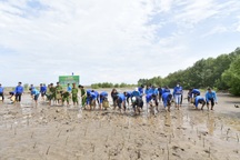 USAID khởi động dự án Bảo tồn Môi trường sống ven biển ĐBSCL