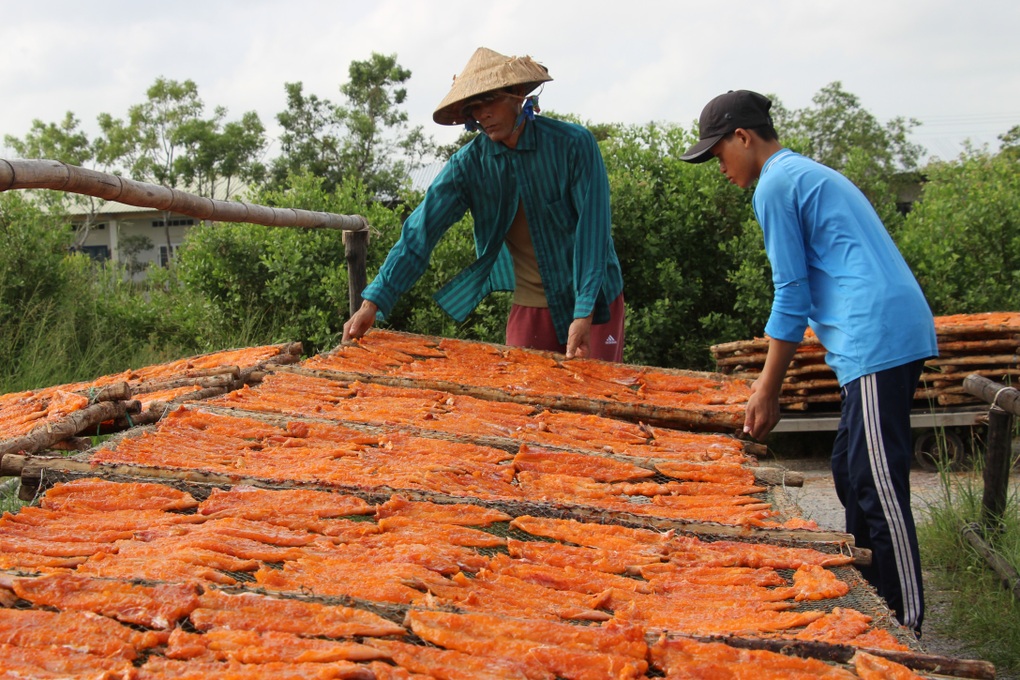 Tư vấn, nói chuyện trực tiếp góp phần tạo việc làm cho nhiều lao động - 1