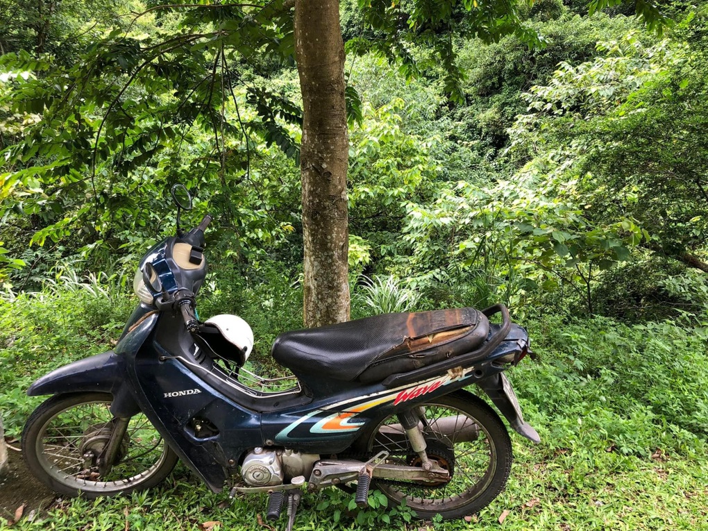 Thi thể đang phân hủy trên núi bên cạnh chùm nhãn, thẻ hương - 1 Thi thể đang phân hủy trên núi bên cạnh chùm nhãn, thẻ hương - 1