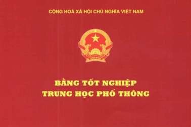 Phát hiện 4 giáo viên dùng bằng giả để dạy lái xe