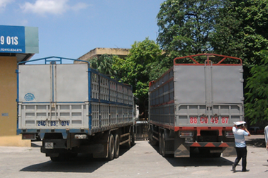 Không có giấy phép lái xe vẫn điều khiển xe quá tải