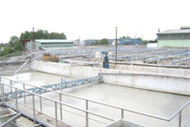 Đề nghị thu hồi giấy chứng nhận đầu tư công ty Hào Dương