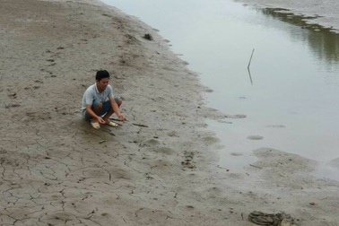 Tôm chết bất thường, dân hoang mang mất trắng hàng tỷ đồng