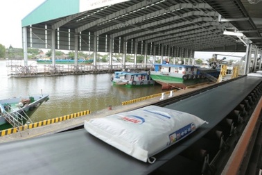 NPK Cà Mau: Giải pháp góp phần cho nông nghiệp phát triển bền vững