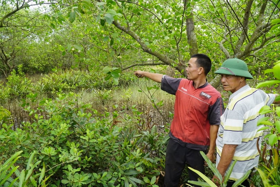 Phó chủ tịch huyện bị cảnh cáo do vi phạm trong quản lý đất đai - 1 Phó chủ tịch huyện bị cảnh cáo do vi phạm trong quản lý đất đai - 1