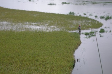 17 người thương vong và mất tích trong mưa lũ