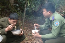 10 năm ăn núi ngủ lều, lương 5 triệu, nhân viên bảo vệ rừng "trụ không nổi"