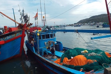 Hàng loạt tàu cá nằm bờ vì thiếu lao động đi biển