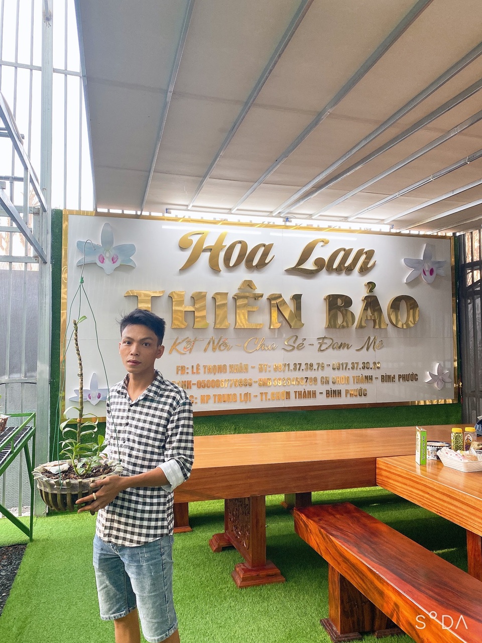Nghệ nhân Lê Trọng Nhân chia sẻ kinh nghiệm chăm sóc hoa lan đột biến - 2 Nghệ nhân Lê Trọng Nhân chia sẻ kinh nghiệm chăm sóc hoa lan đột biến - 2
