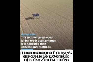 Những cỗ máy tuyệt với đang “cách mạng hóa” nông nghiệp toàn cầu (Phần 1)