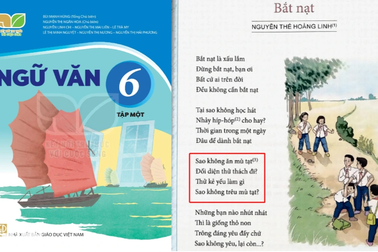 Bài thơ "Bắt nạt" tiếp tục gây tranh cãi: Tác giả lên tiếng