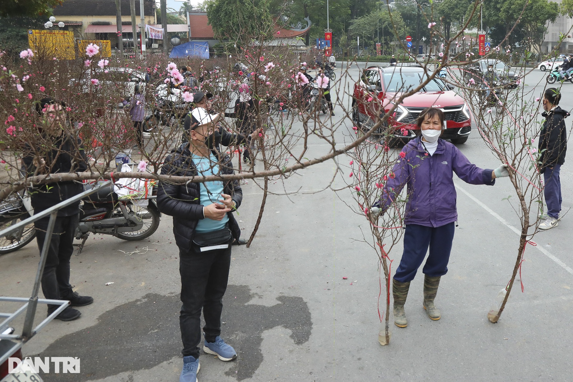 Nhộn nhịp người mua sắm tại chợ hoa tết đường Lạc Long Quân - 2 Nhộn nhịp người mua sắm tại chợ hoa tết đường Lạc Long Quân - 2