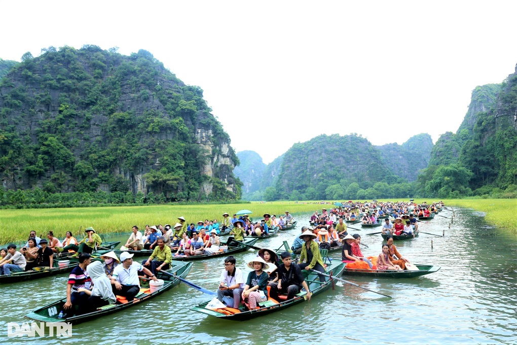 Hàng vạn người đổ về Ninh Bình ngắm cánh đồng lúa đẹp nhất Việt Nam - 1 Hàng vạn người đổ về Ninh Bình ngắm cánh đồng lúa đẹp nhất Việt Nam - 1
