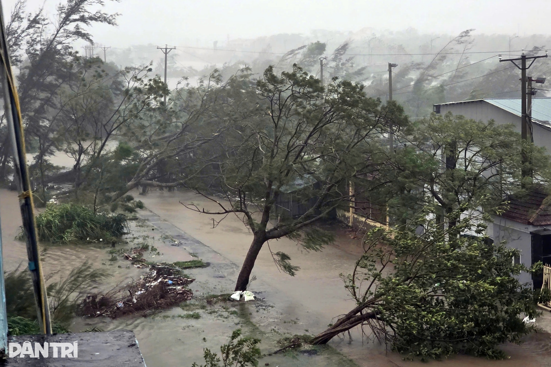 Cảnh đổ nát sau khi bão Bualoi quần thảo qua miền Trung - 3 Cảnh đổ nát sau khi bão Bualoi quần thảo qua miền Trung - 3