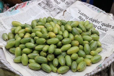 Nhót xanh non đầu mùa "hạ nhiệt" vì Covid-19 chỉ còn… 60.000 đồng/kg