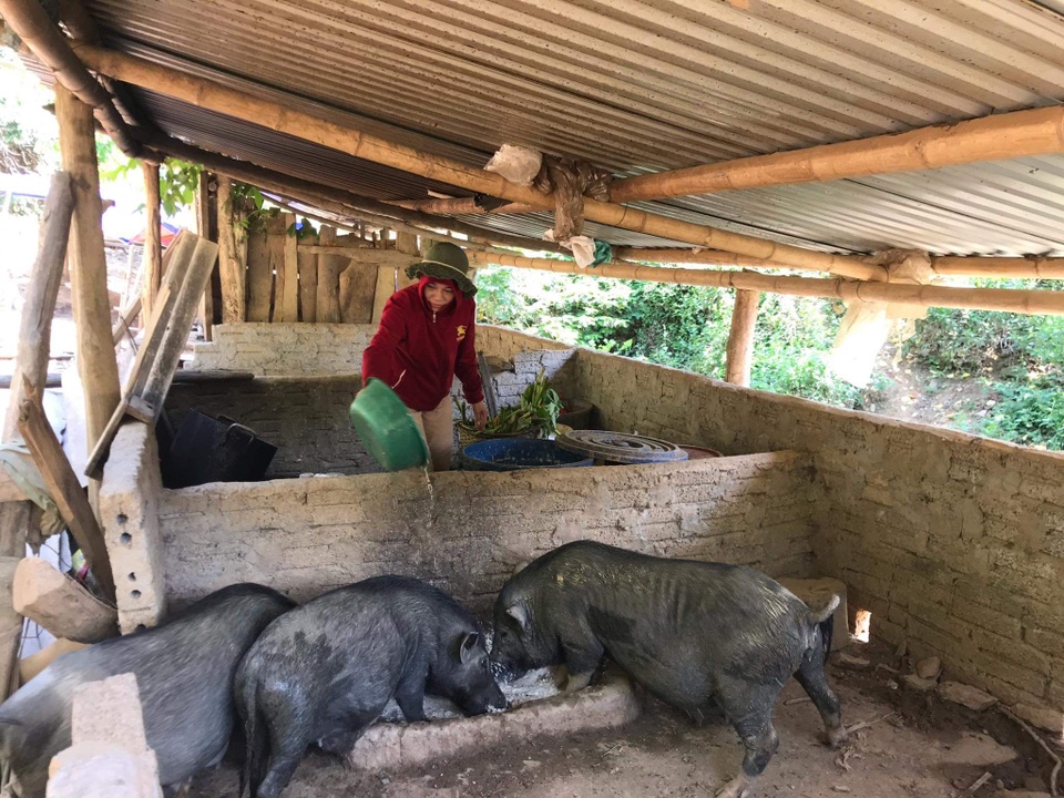 Tiểu đội dân quân thường trực nơi biên giới giúp dân phát triển kinh tế - 5 Tiểu đội dân quân thường trực nơi biên giới giúp dân phát triển kinh tế - 5