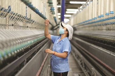 4 nhóm giải pháp miễn, giảm thuế Chính phủ hỗ trợ doanh nghiệp và người dân