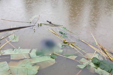 Phát hiện thi thể cụ bà 87 tuổi nổi trong ao cá