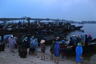 Ngư dân trúng lớn, bến cá nhộn nhịp