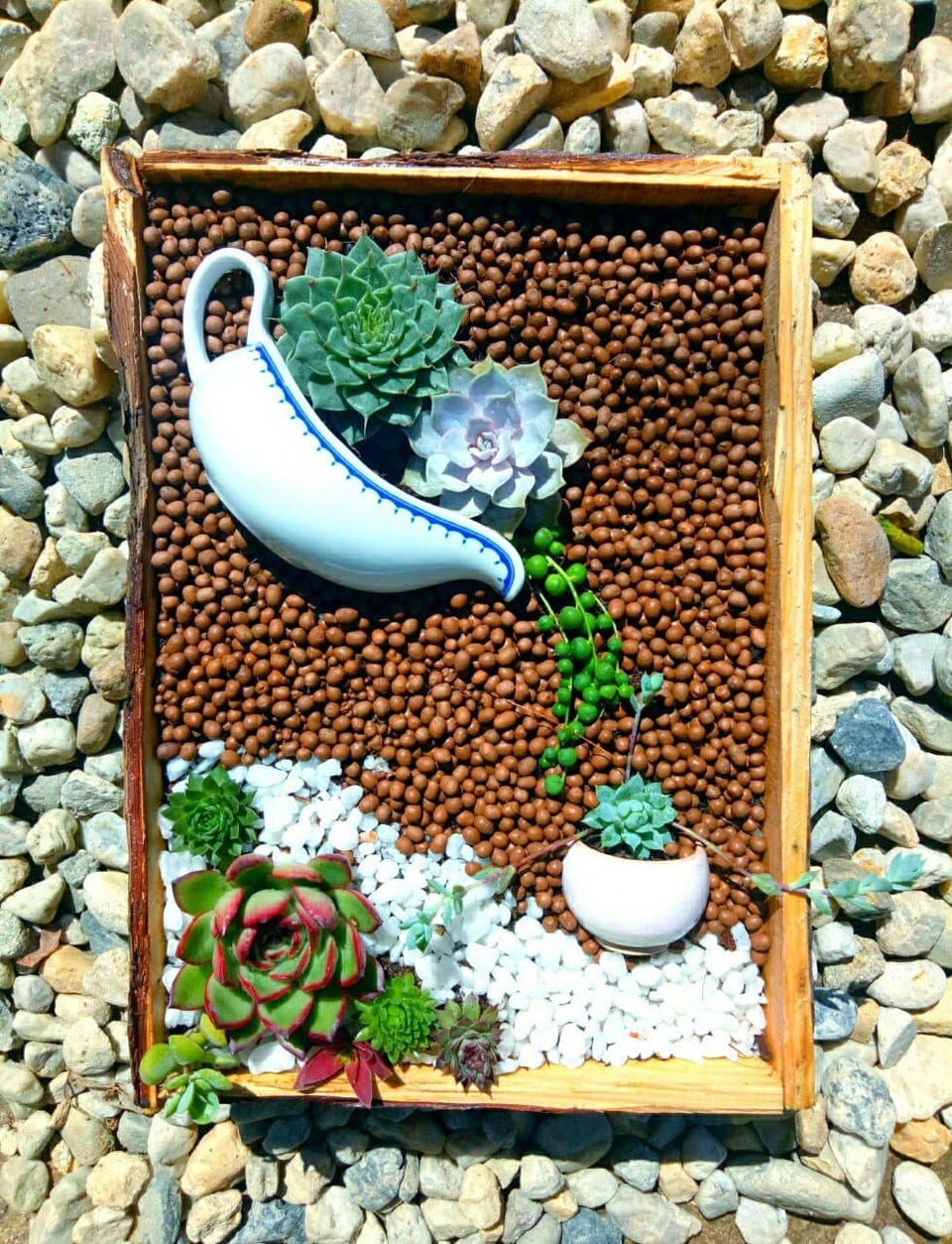 Độc đáo khu vườn ve chai của chị gái Lâm Đồng - 10 Độc đáo khu vườn ve chai của chị gái Lâm Đồng - 10