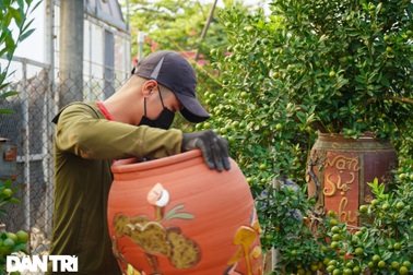 Bỏ chục triệu đồng trả công chăm quất, người Tứ Liên như "ngồi trên lửa"