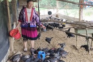 Điện Biên: Tín dụng ưu đãi - Đòn bẩy giúp người dân vượt khó vươn lên