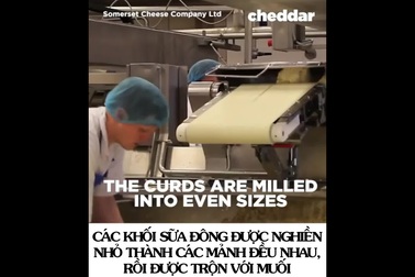 Hành trình kỳ diệu từ sữa bò đến món ăn gây nghiện bậc nhất thế giới!