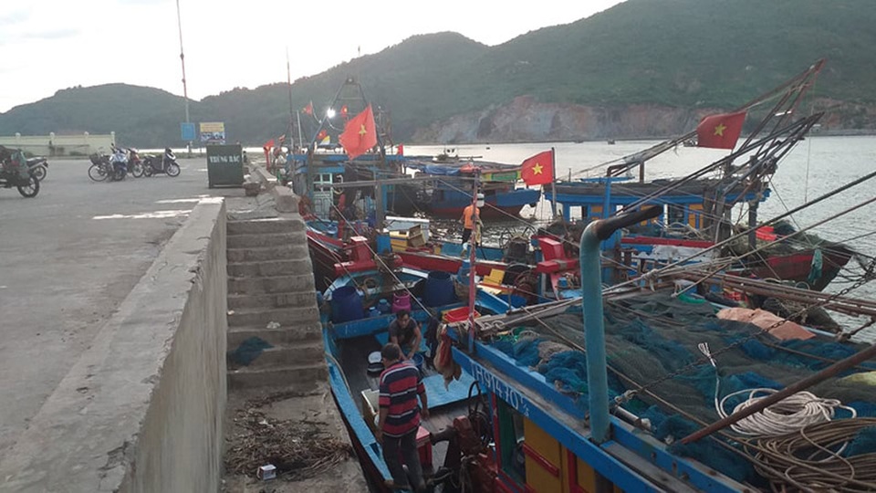 Cận cảnh những mẻ cá khủng kịp cập bến phục vụ rằm tháng 7 - 2 Cận cảnh những mẻ cá khủng kịp cập bến phục vụ rằm tháng 7 - 2