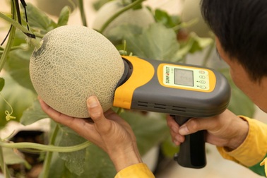 Bí quyết chinh phục người tiêu dùng Việt của WinEco