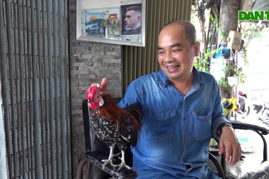 Chú gà tre thông minh, biết đón khách đến hớt tóc ở Cần Thơ
