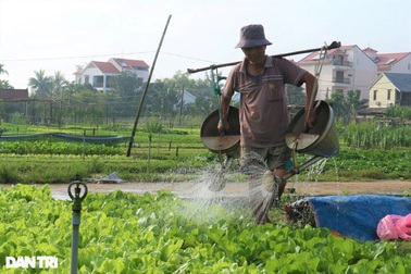 Đầu năm thăm làng rau trăm tuổi nổi tiếng trên bản đồ du lịch quốc tế